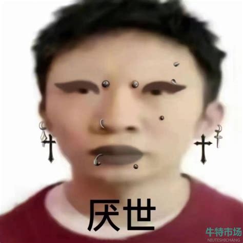 迪意思